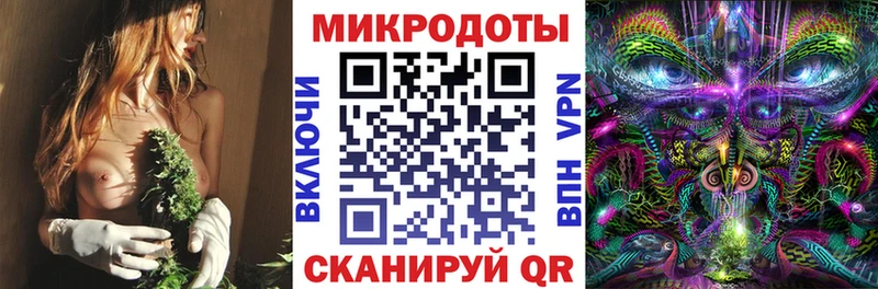 блэк спрут зеркало  как найти закладки  Светлоград  Галлюциногенные грибы Magic Shrooms 